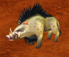 Mottled Boar